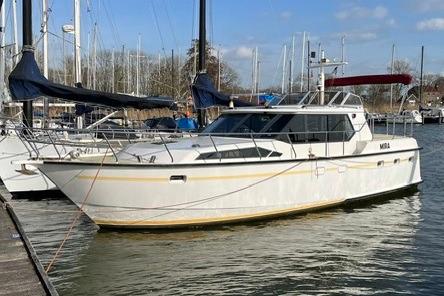 Shogun 41